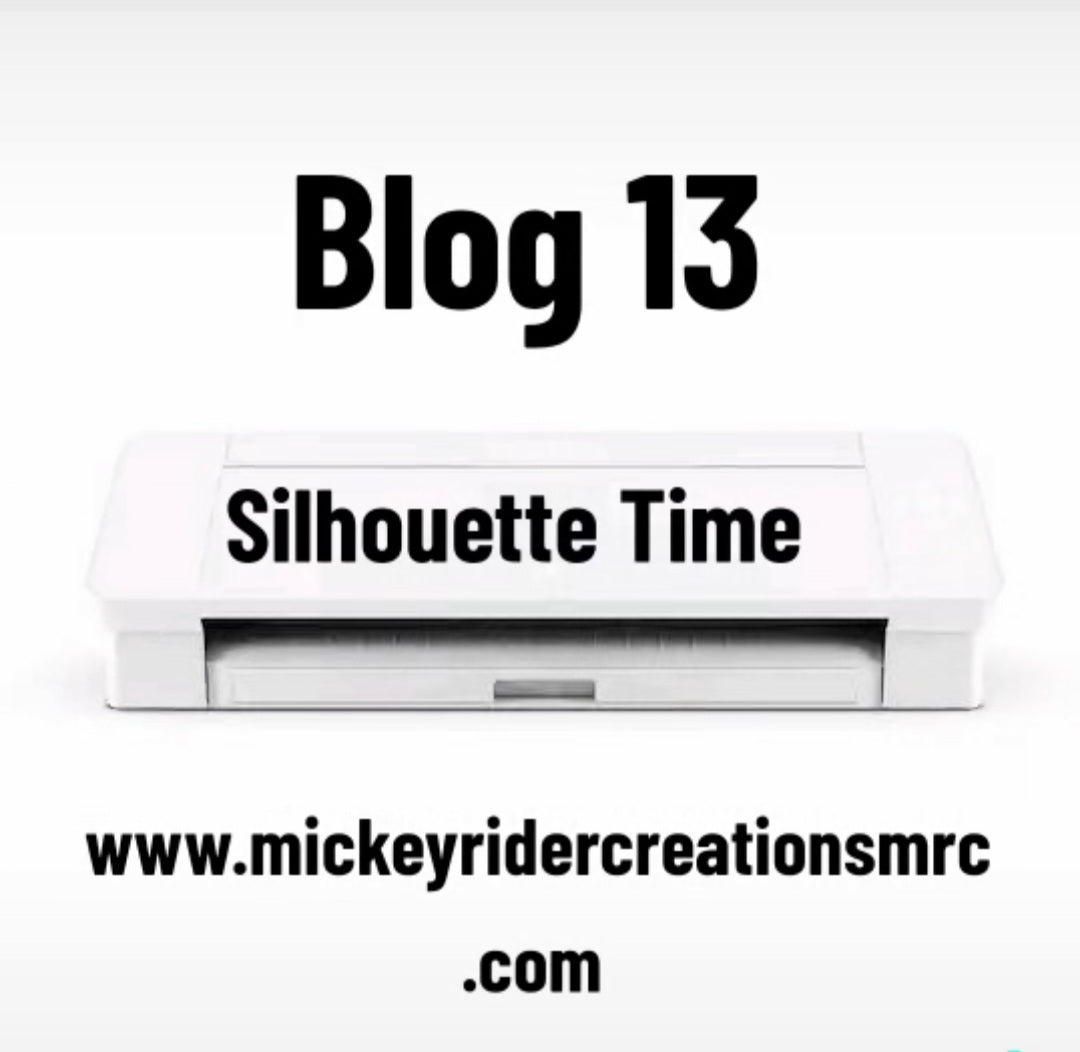 Blog 13