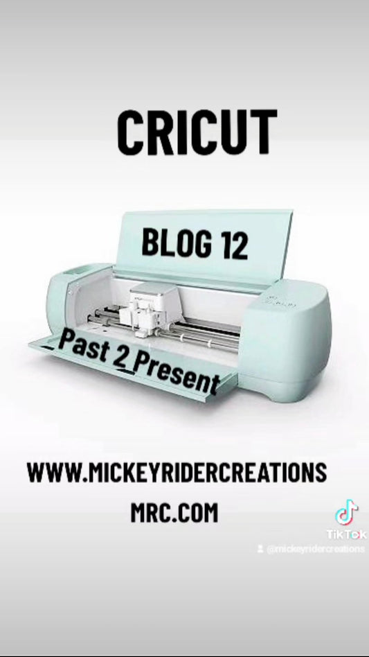 Blog 12