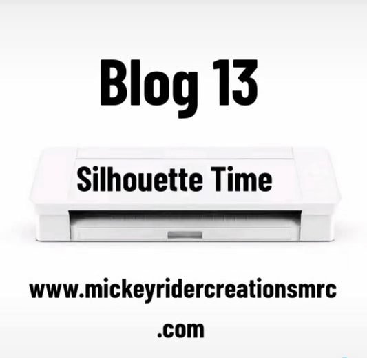 Blog 13